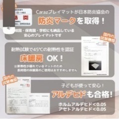 プレイマットの画像