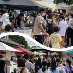 メダカ販売の画像