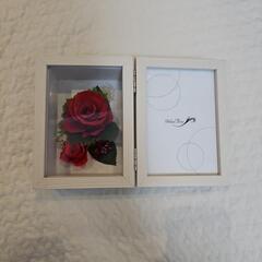値下げしました　Palais flora　パレフローラ　ブリザー...