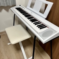 【値下げしました】YAMAHA Piaggero NP-12WH