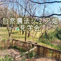 自然農法シェア畑　見学会③