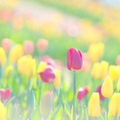 起業して人の役に立ちたいという思いを抱いている方へ【無料個別相談】