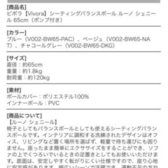 ビボラ【Vivora】シーティングバランスボール ルーノ シェニール 65cm（ポンプ付き）の画像