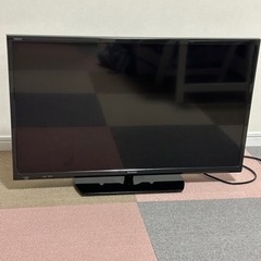 家電 テレビ 液晶テレビ