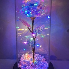 ガラスドームナイトライトのギャラクシーローズの画像