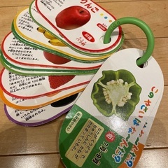 知育おもちゃ　リングカード　写真　野菜　くだもの　こども　せいか...