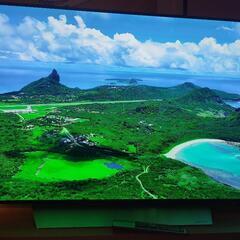 LG 55V 有機LE4Kテレビ