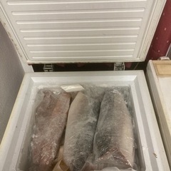 冷凍ストッカーの画像