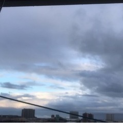 3月23日　　お願いです。　　なかなか見つからなくて