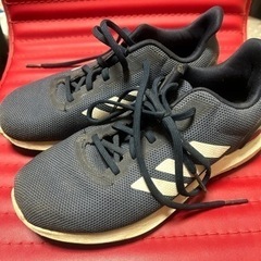 アディダス adidas スニーカー25cmの画像