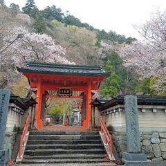 ゆっくり登山しませんか〜😊🎵