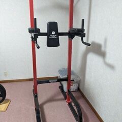 懸垂　チンニングスタンドの画像