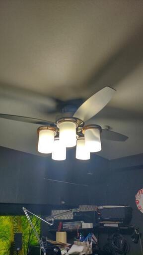 特価 シーリングファンライト 新品未使用 リモコン付き ホワイト