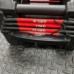 ブロックダンベル 22kg×2個 可変ダンベルの画像