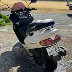 フォルツァMF06新品部品使用整備済み！乗って帰れますの画像