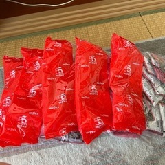 スポーツ 野球