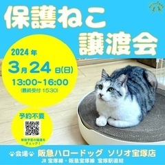 保護ねこの譲渡会 in 宝塚