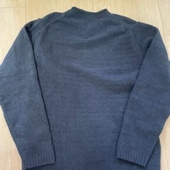 ルイシャブロン トップスの画像