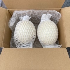 ダチョウの卵の殻2個セット　エッグアート、インテリアの画像