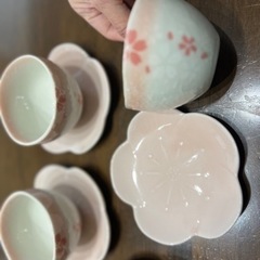 桜の湯呑み5点セットの画像