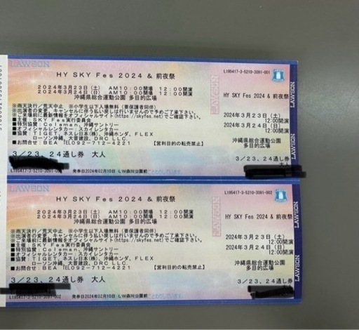 最安値　HYスカイフェス　24日大人入場チケット　2人分
