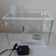 めだか水槽