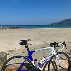 ラピエール エアコードアルティメットPINOTカラー5０の画像