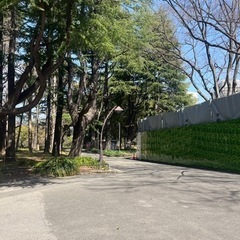 引っ越し積み込み　謝礼あり