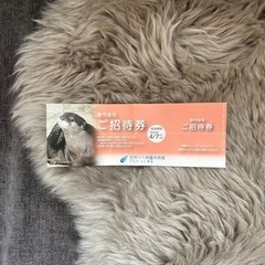 アクアトト岐阜　園児招待券