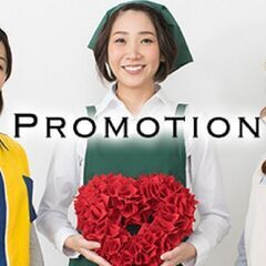 【日用雑貨メーカー 店舗巡回スタッフ•ラウンダー】東京都・神奈川県内GMS/ホームセンターの画像