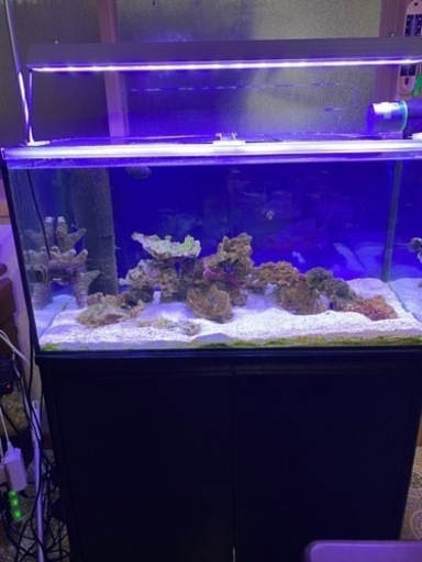 90センチ水槽セット