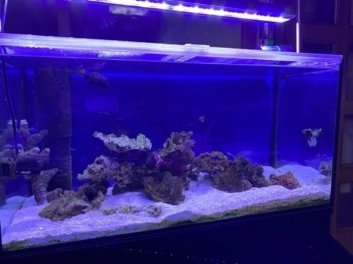 90センチ水槽セット