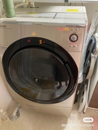 家電 生活家電 洗濯機