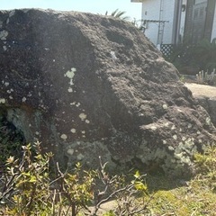 庭石　謝礼1万円差し上げます