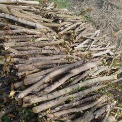 薪 譲りますの画像