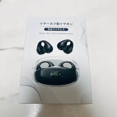 イヤホン
