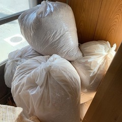 かんなくずたくさんあります