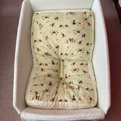 天使の寝床 青葉