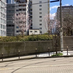 ご家庭の事情で塾に行けないかた　サブスクの家庭教師　勉強をたくさ...