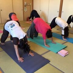 『女性のためのリラックス系ヨガ』只今初回体験１０００円キャンペーン実施中♪初心者・身体の硬い方大歓迎！この春ヨガを始めませんか？肩こり・腰痛・不眠などお体のお悩みご相談ください♪の画像