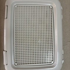 【未使用品】犬用トイレ⭐︎レギュラーサイズ2個セットの画像