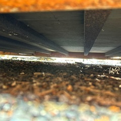 ４坪ユニットハウス　仮設ハウス　プレハブ　コンテナハウス　現場事務所　塗装済　県内送料無料！！県外激安発送！！の画像