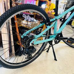 Bianchi PIRATA 24