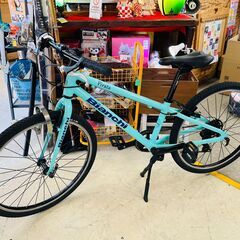 Bianchi PIRATA 24