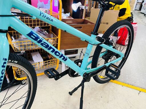 Bianchi PIRATA 24