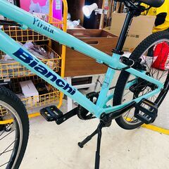 Bianchi PIRATA 24