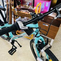 Bianchi PIRATA 24