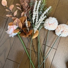 生活雑貨 家庭用品 ガーデニングの画像