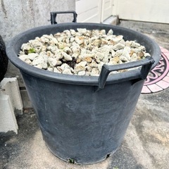 大型植木鉢