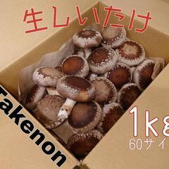 朝採れ生しいたけ1kg　静岡県産　予約可